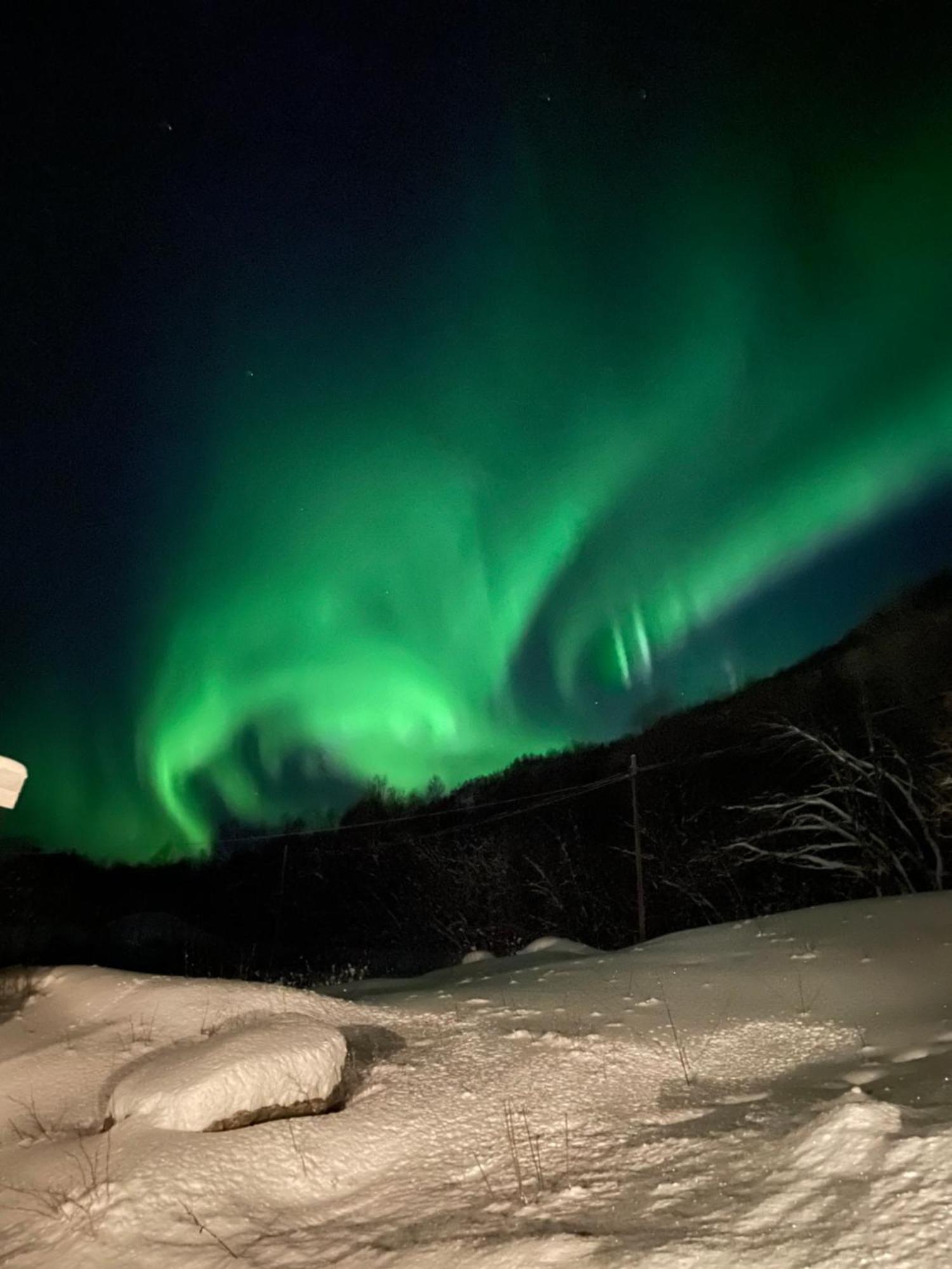 Sjarmerende Anneks I Sigerfjord, Vesteralen Sortland Luaran gambar
