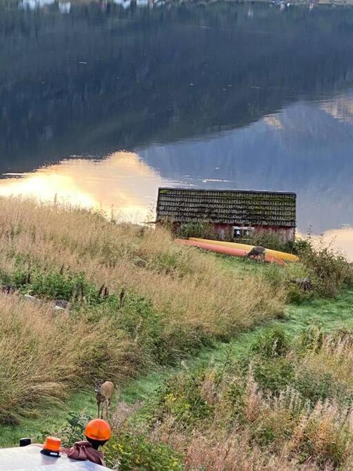 Sjarmerende Anneks I Sigerfjord, Vesteralen Sortland Luaran gambar